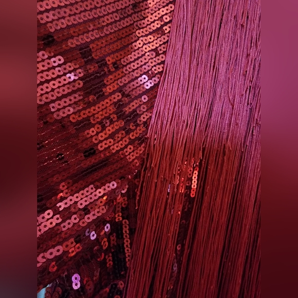 Xpluswear Design Plus Size Hot Pink Party Short Sleeve Fringe Sequin Mini Dress - Picture 4 of 5